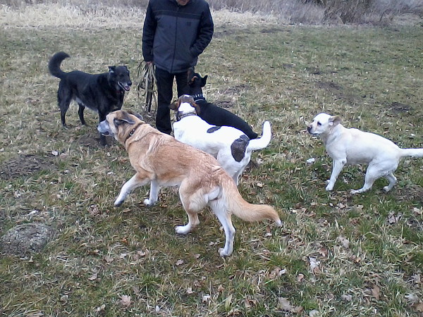 med_Christian hat die Leckerchen.jpg (600 x 450)